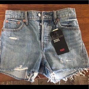 Levi Wedgie Shorts